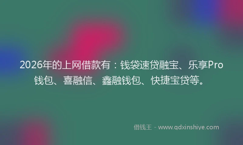 2026年的上网借款有：钱袋速贷融宝、乐享Pro钱包、喜融信、鑫融钱包、快捷宝贷等。