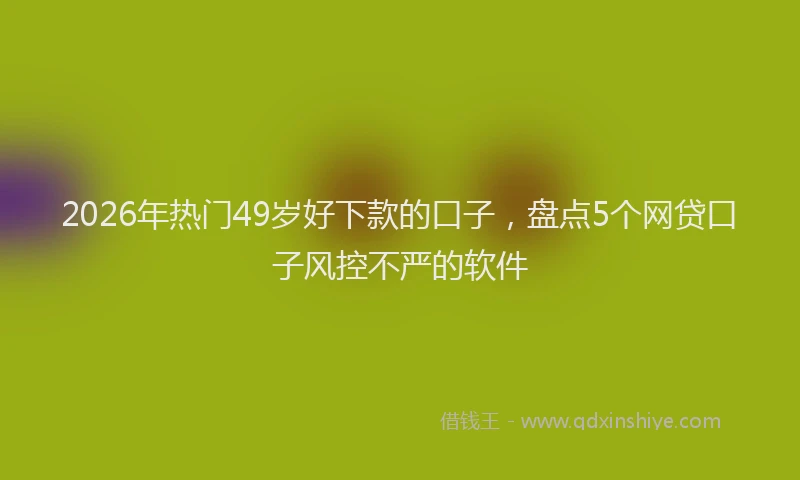 2026年热门49岁好下款的口子，盘点5个网贷口子风控不严的软件