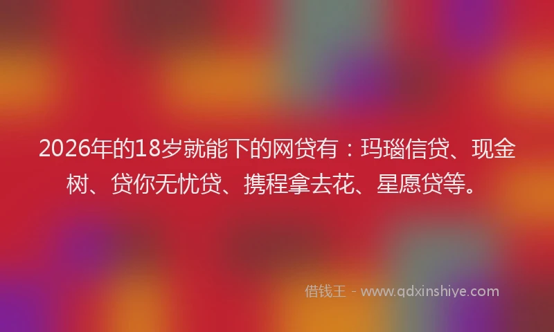 2026年的18岁就能下的网贷有：玛瑙信贷、现金树、贷你无忧贷、携程拿去花、星愿贷等。