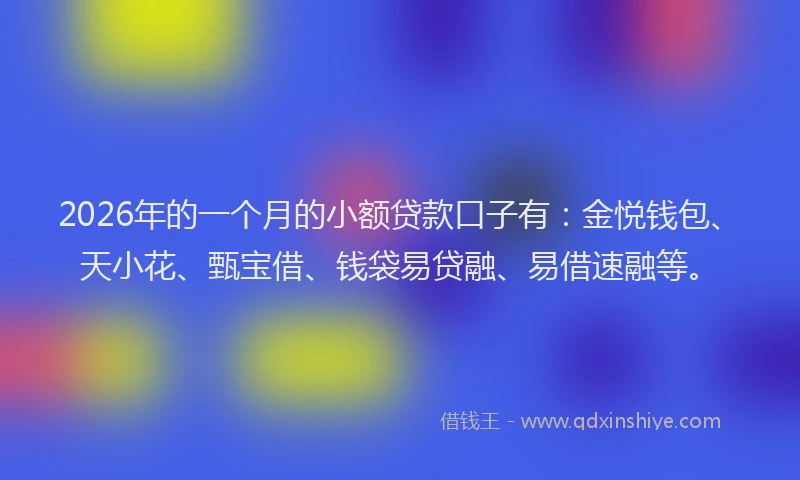 2026年的一个月的小额贷款口子有：金悦钱包、天小花、甄宝借、钱袋易贷融、易借速融等。
