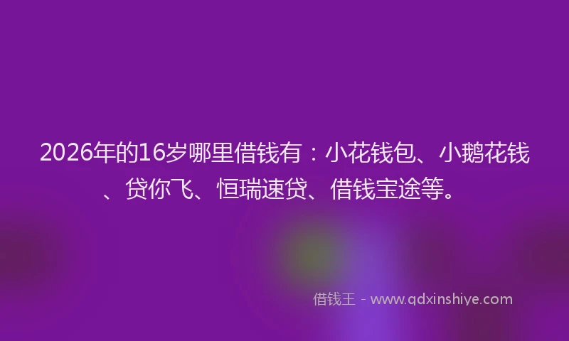 2026年的16岁哪里借钱有：小花钱包、小鹅花钱、贷你飞、恒瑞速贷、借钱宝途等。