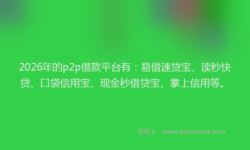 2026年的p2p借款平台有：易借速贷宝、读秒快贷、口袋信用宝、现金秒借贷宝、掌上信用等。