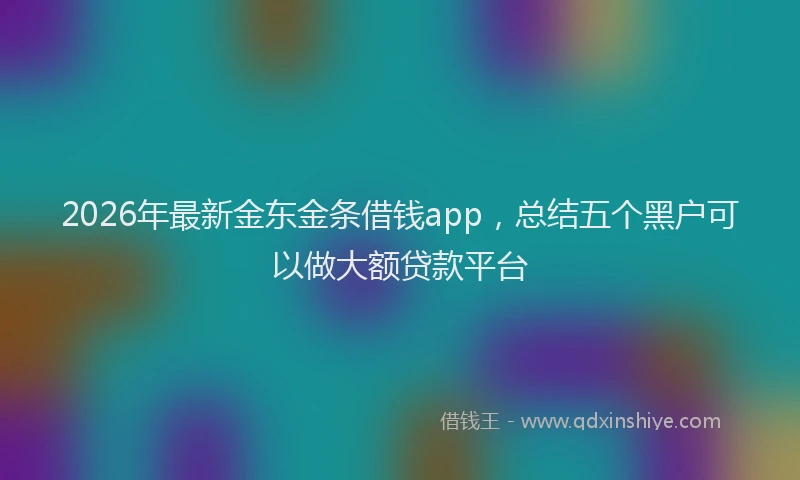 2026年最新金东金条借钱app，总结五个黑户可以做大额贷款平台