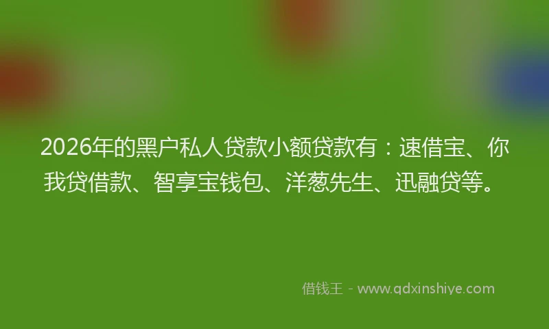 2026年的黑户私人贷款小额贷款有：速借宝、你我贷借款、智享宝钱包、洋葱先生、迅融贷等。