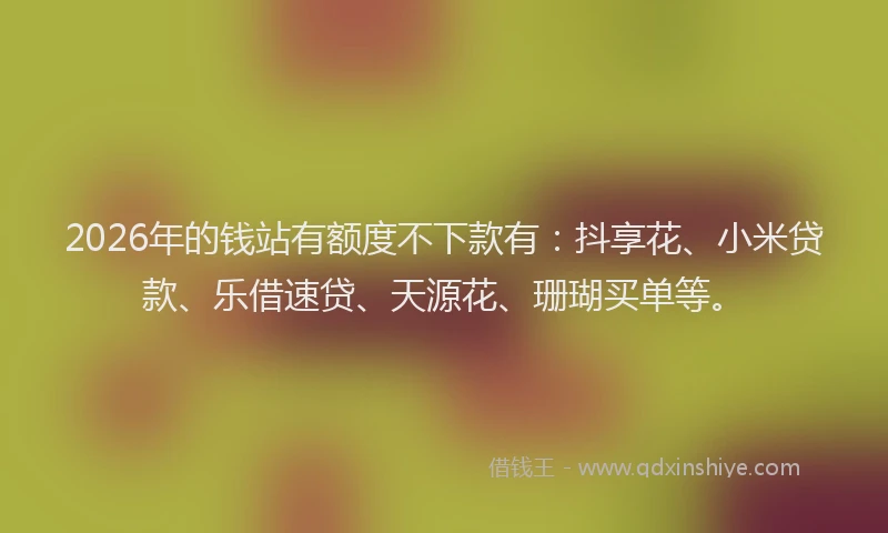 2026年的钱站有额度不下款有：抖享花、小米贷款、乐借速贷、天源花、珊瑚买单等。