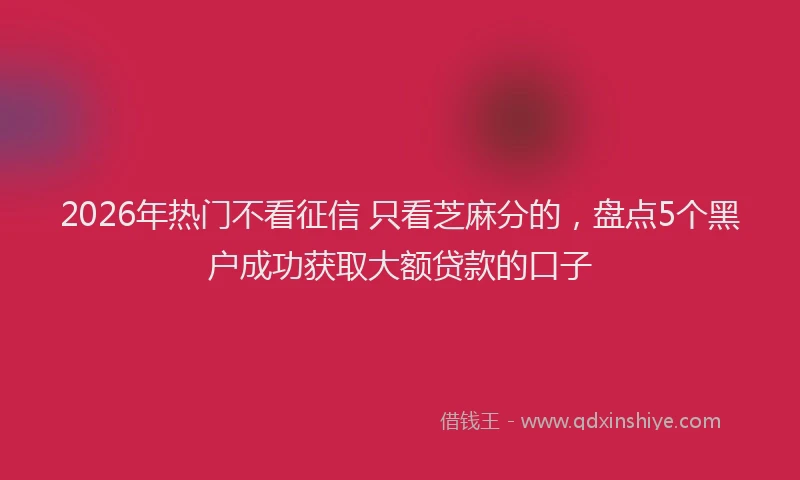 2026年热门不看征信 只看芝麻分的，盘点5个黑户成功获取大额贷款的口子