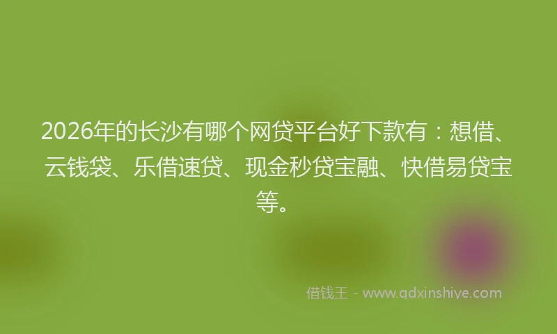 2026年的长沙有哪个网贷平台好下款有：想借、云钱袋、乐借速贷、现金秒贷宝融、快借易贷宝等。