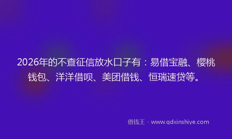 2026年的不查征信放水口子有：易借宝融、樱桃钱包、洋洋借呗、美团借钱、恒瑞速贷等。