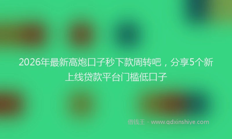 2026年最新高炮口子秒下款周转吧，分享5个新上线贷款平台门槛低口子