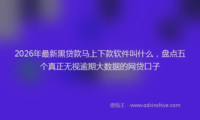 2026年最新黑贷款马上下款软件叫什么，盘点五个真正无视逾期大数据的网贷口子