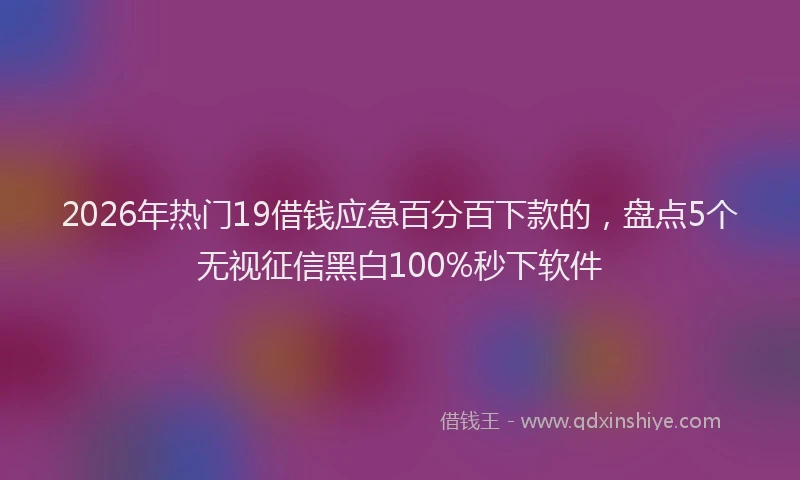 2026年热门19借钱应急百分百下款的，盘点5个无视征信黑白100%秒下软件