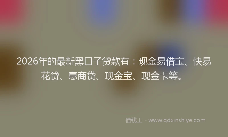 2026年的最新黑口子贷款有：现金易借宝、快易花贷、惠商贷、现金宝、现金卡等。