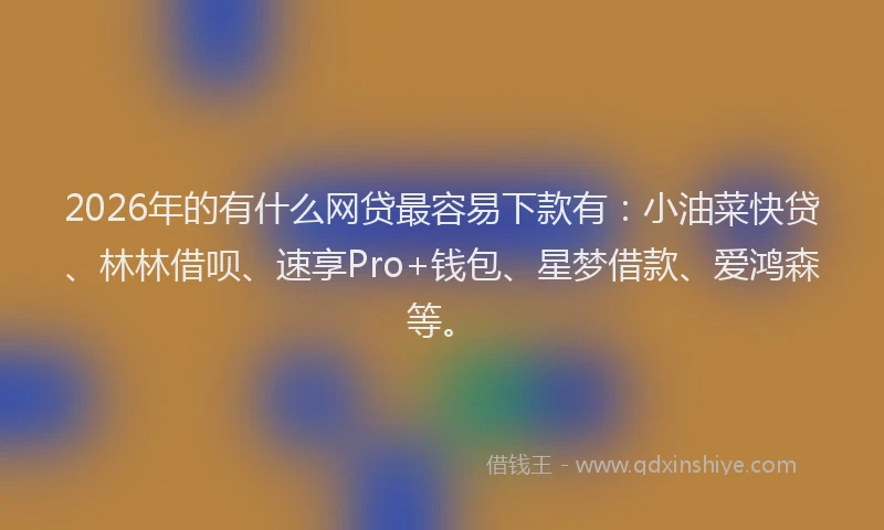 2026年的有什么网贷最容易下款有：小油菜快贷、林林借呗、速享Pro+钱包、星梦借款、爱鸿森等。