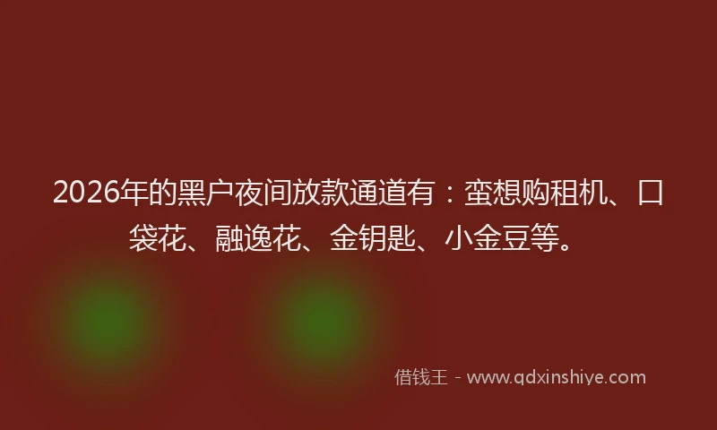 2026年的黑户夜间放款通道有：蛮想购租机、口袋花、融逸花、金钥匙、小金豆等。