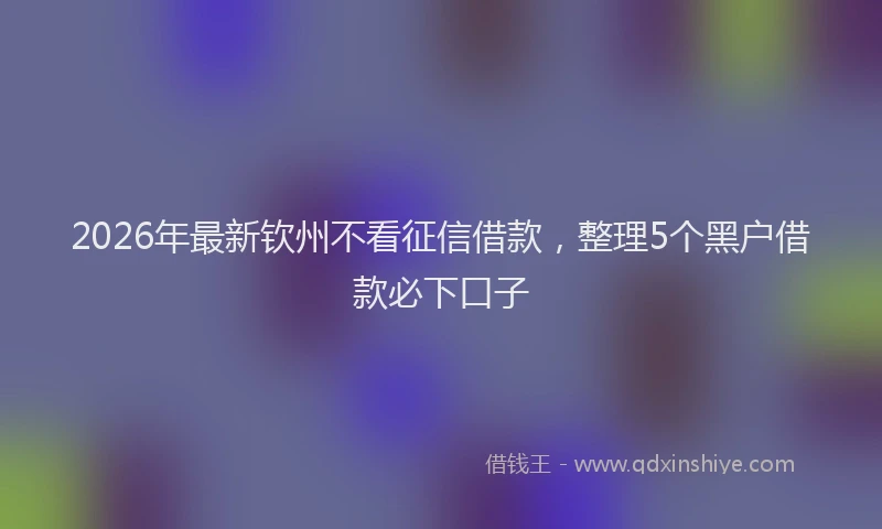 2026年最新钦州不看征信借款，整理5个黑户借款必下口子