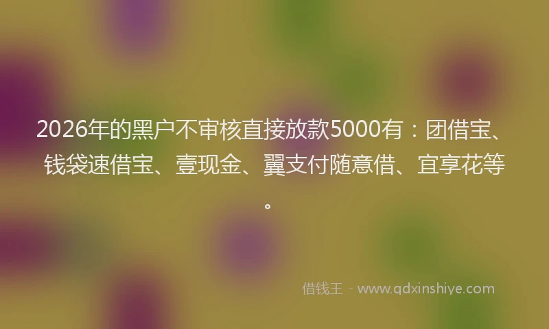 2026年的黑户不审核直接放款5000有：团借宝、钱袋速借宝、壹现金、翼支付随意借、宜享花等。