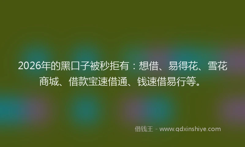 2026年的黑口子被秒拒有：想借、易得花、雪花商城、借款宝速借通、钱速借易行等。