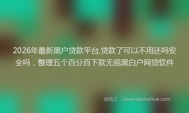 2026年最新黑户贷款平台,贷款了可以不用还吗安全吗，整理五个百分百下款无视黑白户网贷软件
