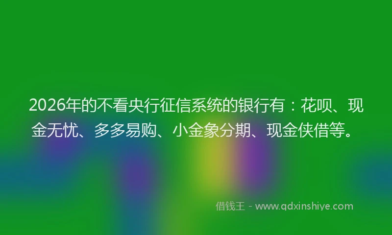 2026年的不看央行征信系统的银行有：花呗、现金无忧、多多易购、小金象分期、现金侠借等。