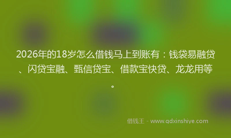 2026年的18岁怎么借钱马上到账有：钱袋易融贷、闪贷宝融、甄信贷宝、借款宝快贷、龙龙用等。