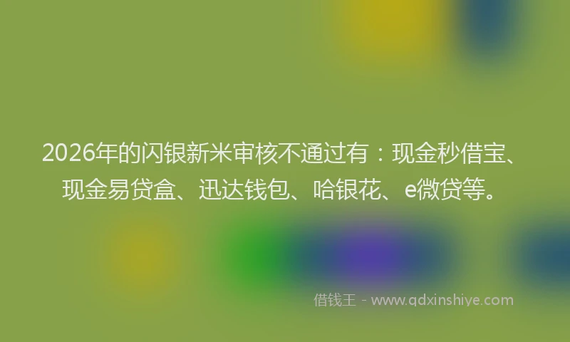 2026年的闪银新米审核不通过有：现金秒借宝、现金易贷盒、迅达钱包、哈银花、e微贷等。