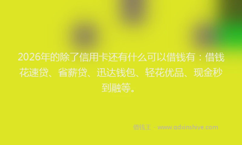2026年的除了信用卡还有什么可以借钱有：借钱花速贷、省薪贷、迅达钱包、轻花优品、现金秒到融等。