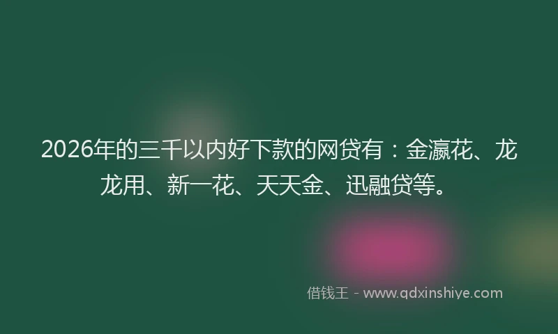 2026年的三千以内好下款的网贷有：金瀛花、龙龙用、新一花、天天金、迅融贷等。