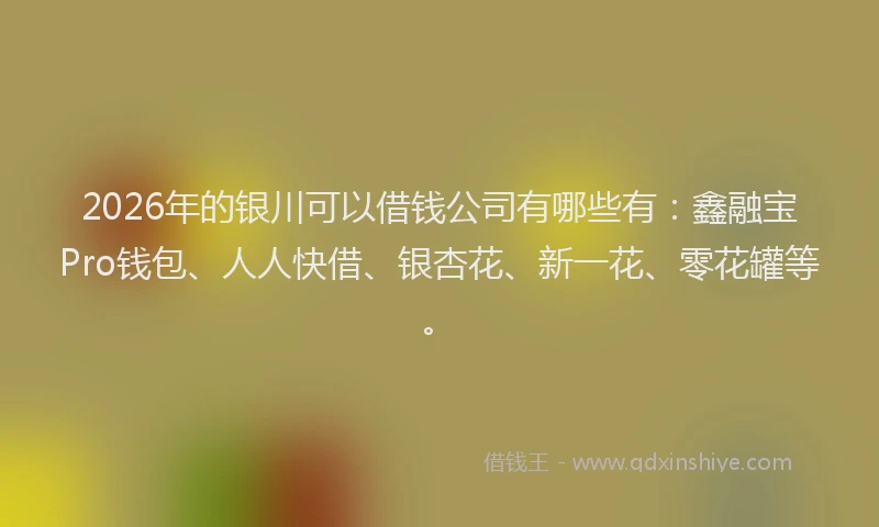 2026年的银川可以借钱公司有哪些有：鑫融宝Pro钱包、人人快借、银杏花、新一花、零花罐等。