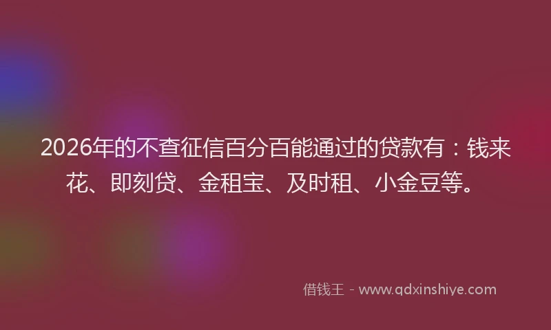 2026年的不查征信百分百能通过的贷款有：钱来花、即刻贷、金租宝、及时租、小金豆等。