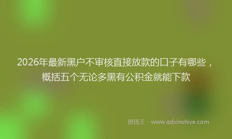 2026年最新黑户不审核直接放款的口子有哪些，概括五个无论多黑有公积金就能下款