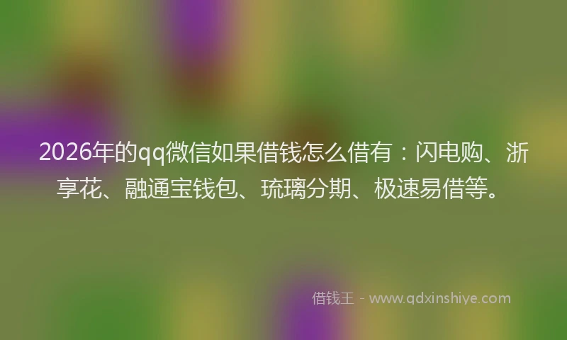 2026年的qq微信如果借钱怎么借有：闪电购、浙享花、融通宝钱包、琉璃分期、极速易借等。
