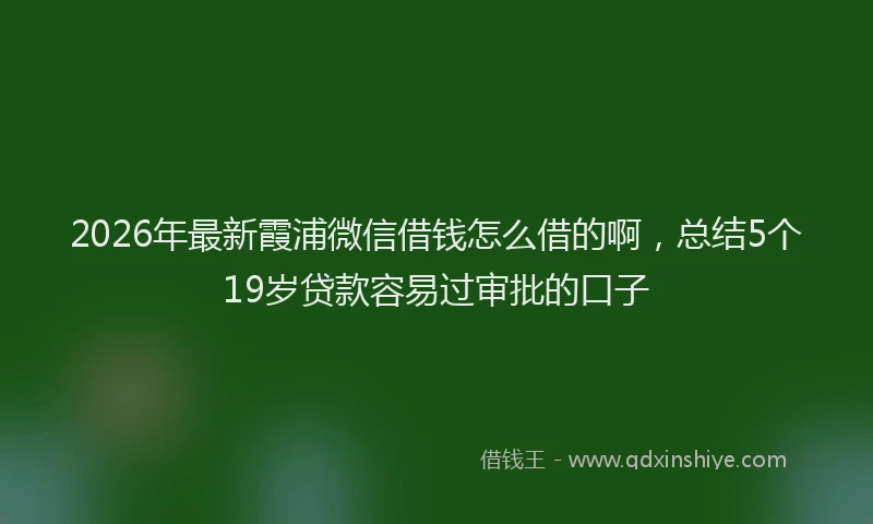 2026年最新霞浦微信借钱怎么借的啊，总结5个19岁贷款容易过审批的口子