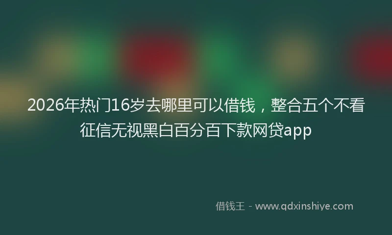 2026年热门16岁去哪里可以借钱，整合五个不看征信无视黑白百分百下款网贷app