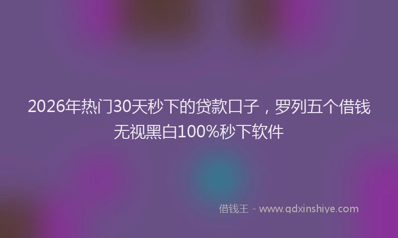 2026年热门30天秒下的贷款口子，罗列五个借钱无视黑白100%秒下软件
