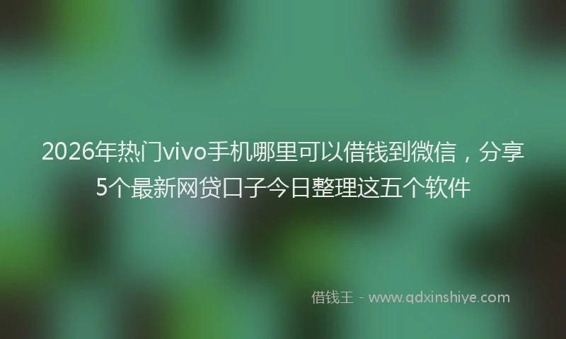 2026年热门vivo手机哪里可以借钱到微信，分享5个最新网贷口子今日整理这五个软件