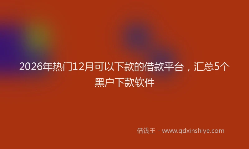 2026年热门12月可以下款的借款平台，汇总5个黑户下款软件