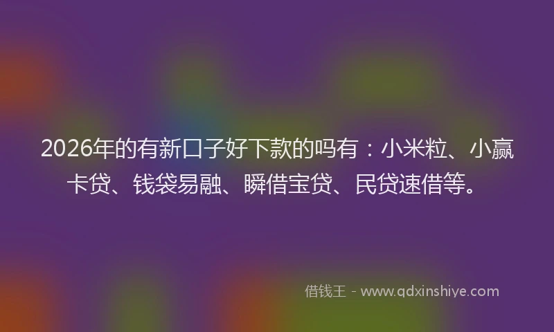 2026年的有新口子好下款的吗有：小米粒、小赢卡贷、钱袋易融、瞬借宝贷、民贷速借等。