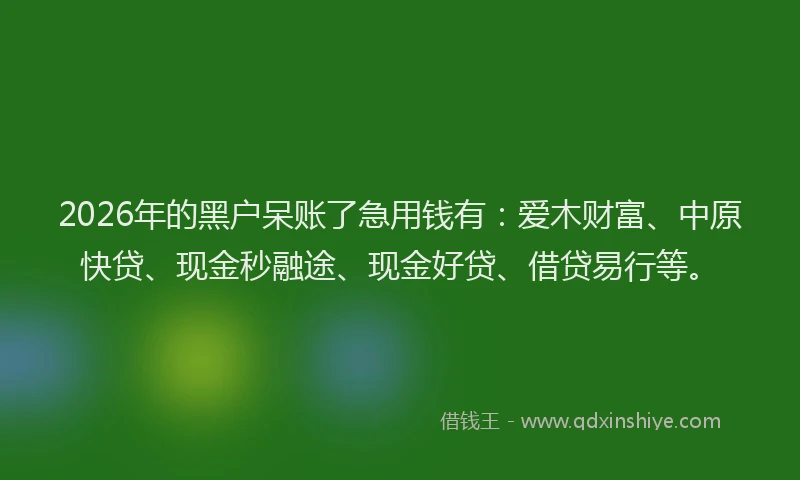 2026年的黑户呆账了急用钱有：爱木财富、中原快贷、现金秒融途、现金好贷、借贷易行等。