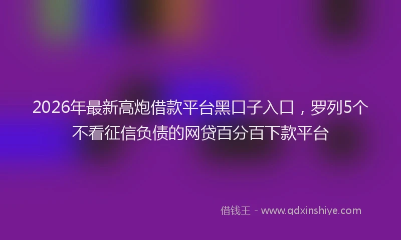 2026年最新高炮借款平台黑口子入口，罗列5个不看征信负债的网贷百分百下款平台
