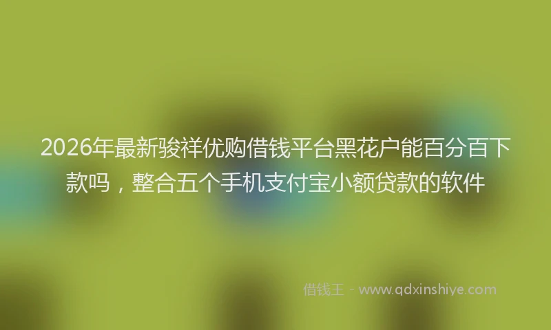 2026年最新骏祥优购借钱平台黑花户能百分百下款吗，整合五个手机支付宝小额贷款的软件