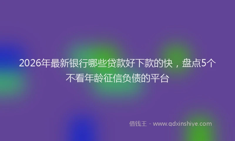 2026年最新银行哪些贷款好下款的快，盘点5个不看年龄征信负债的平台