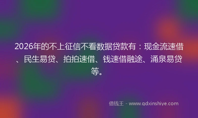 2026年的不上征信不看数据贷款有：现金流速借、民生易贷、拍拍速借、钱速借融途、涌泉易贷等。