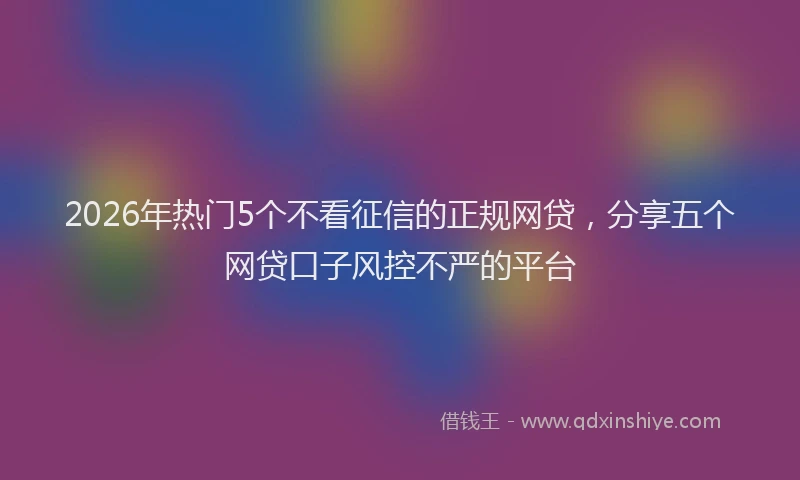 2026年热门5个不看征信的正规网贷，分享五个网贷口子风控不严的平台