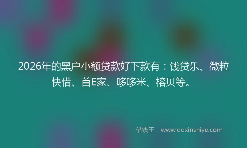2026年的黑户小额贷款好下款有：钱贷乐、微粒快借、首E家、哆哆米、榕贝等。