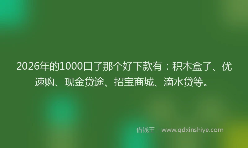 2026年的1000口子那个好下款有：积木盒子、优速购、现金贷途、招宝商城、滴水贷等。