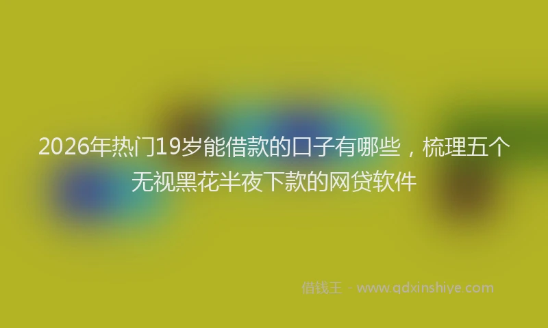 2026年热门19岁能借款的口子有哪些，梳理五个无视黑花半夜下款的网贷软件