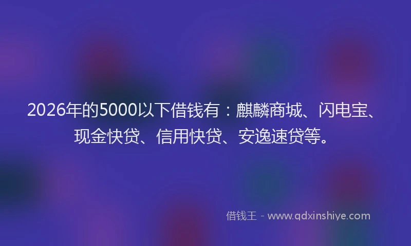 2026年的5000以下借钱有：麒麟商城、闪电宝、现金快贷、信用快贷、安逸速贷等。