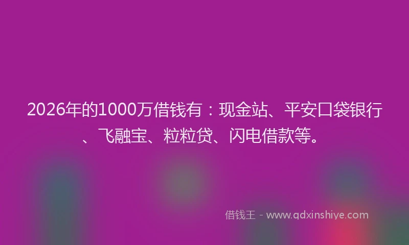 2026年的1000万借钱有：现金站、平安口袋银行、飞融宝、粒粒贷、闪电借款等。