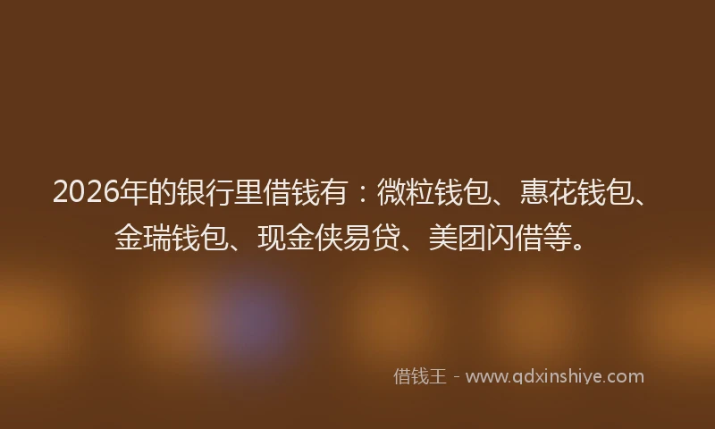 2026年的银行里借钱有：微粒钱包、惠花钱包、金瑞钱包、现金侠易贷、美团闪借等。