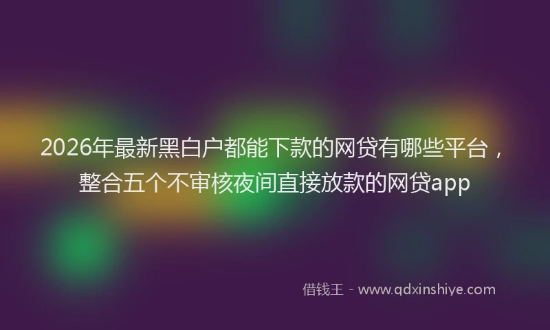 2026年最新黑白户都能下款的网贷有哪些平台，整合五个不审核夜间直接放款的网贷app